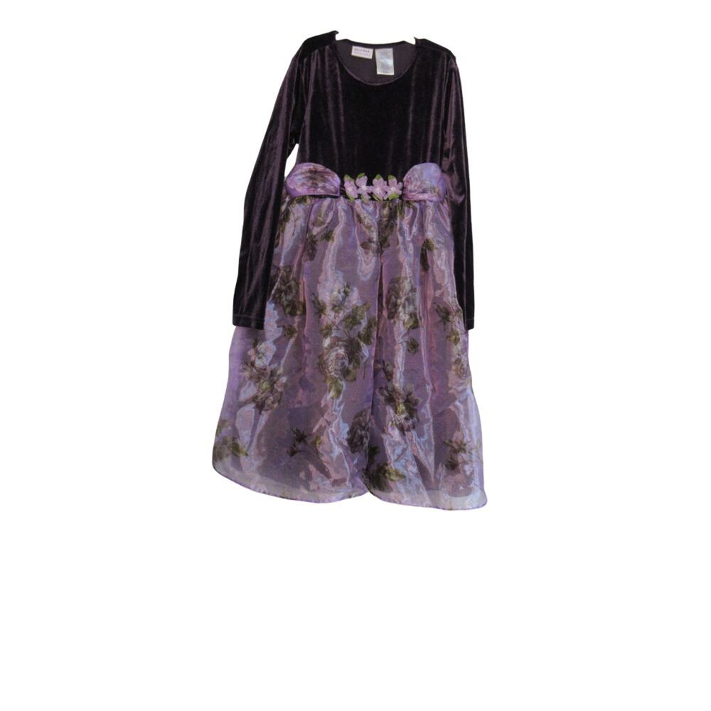 Blueberi Boulevard Purple velvet Dress